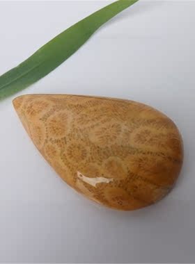 天然菊花石挂坠水滴形珊瑚玉吊坠