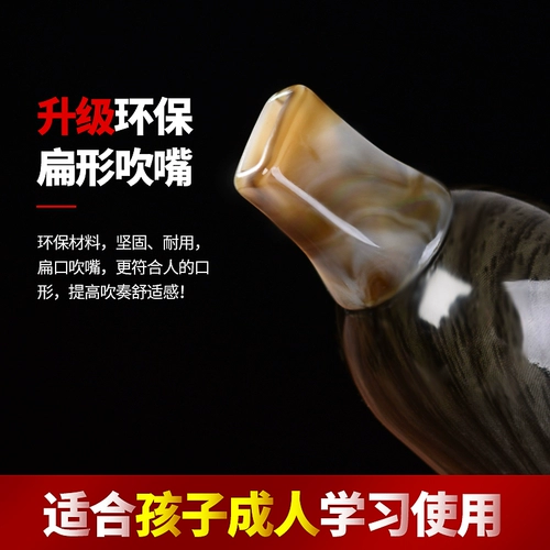 Музыкальный инструмент Babu Blowing G в Федерацию FD D -интранирование C, а -мгновенный в детской школе для взрослых учащихся для взрослых.
