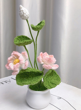 手工编织花束小盆栽diy礼物