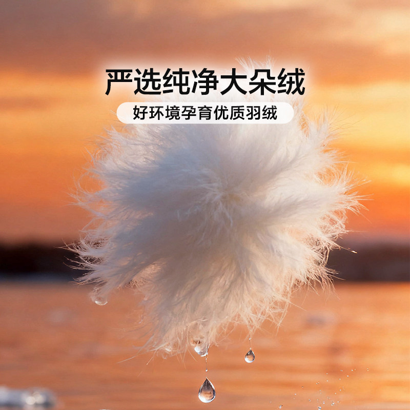 富安娜羽绒被春秋被冬季加厚保暖被子被芯冬被冬天鸭绒被冬季被子,淘宝优惠券,粉丝福利购,淘宝优惠卷
