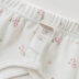 Davebella david Bella mới khóa cotton chân nhỏ mở quần quần lót hai mảnh DB6053 - Quần áo lót Quần áo lót