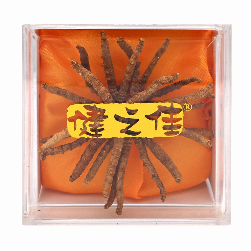健之佳冬虫夏草5g/盒西藏冬虫夏草