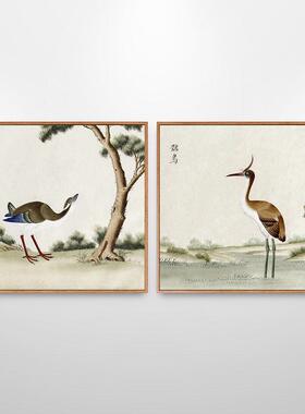 鸟画鸳鸯鸟类图鉴大全花鸟画挂画新中式客厅装饰画走廊壁画中国风