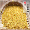 Authentic Inner Mongolia stunt pure yellow mustard seeds free shipping