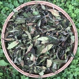 Lao Yan Yan Fuding Белый чай Shoumei San Tea High Mountain Sunshine Aragrance Оригинальное происхождение Taiyu Mountain 500G Бесплатная доставка
