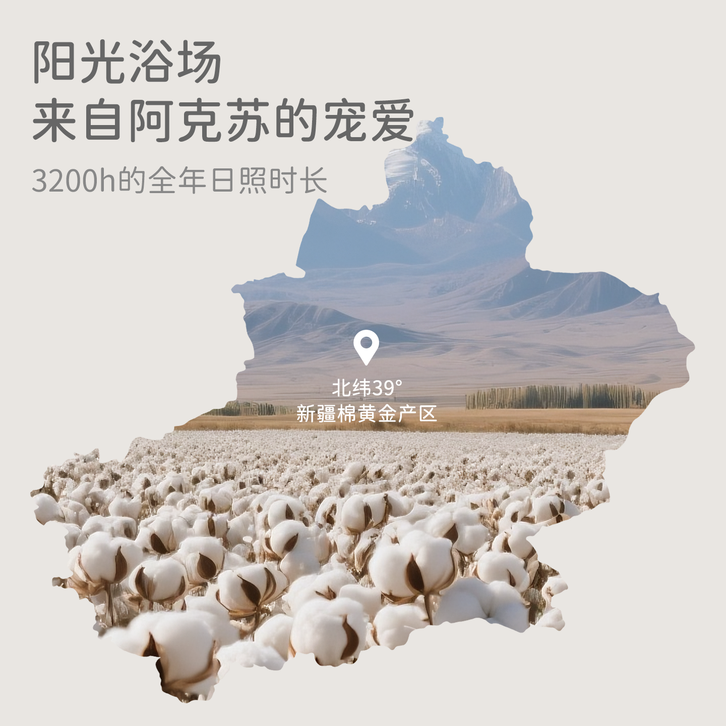 戴维贝拉儿童毛衣背心2026新款女宝宝纯棉针织衫男童马甲打底上衣,淘宝优惠券,粉丝福利购,淘宝优惠卷