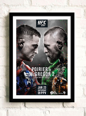UFC终极格斗赛康纳哈比布装饰画