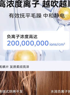 Aolga欧嘉优品DF27高速吹风机