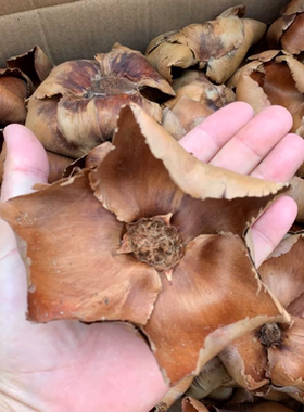 椰子花装饰圣诞树干花树枝