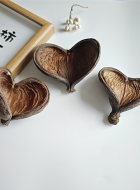 天然植物果壳果实干花套装幼儿园相框diy材料南美鱼缸造景摆件拍