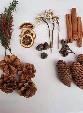 圣诞绿叶花材永生花松柏干花装饰