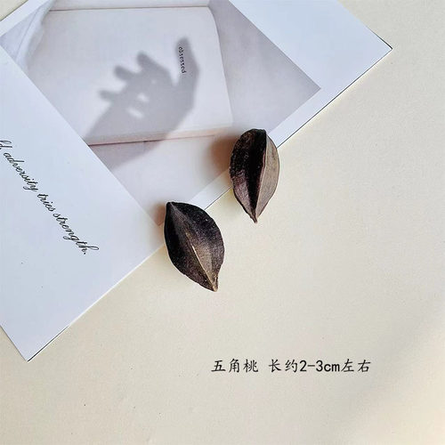 松果橡果干果壳材料植物标本相框僵尸果手工diy干花材料陈列装饰 - 图1