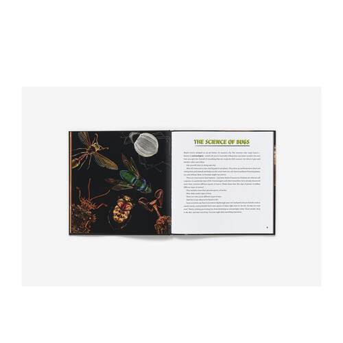 【现货】奇异的自然:Levon Biss的昆虫摄影 Strange Nature: The Insect Portraits of Levon Biss 原版英文青少年读物 进口图书 - 图2
