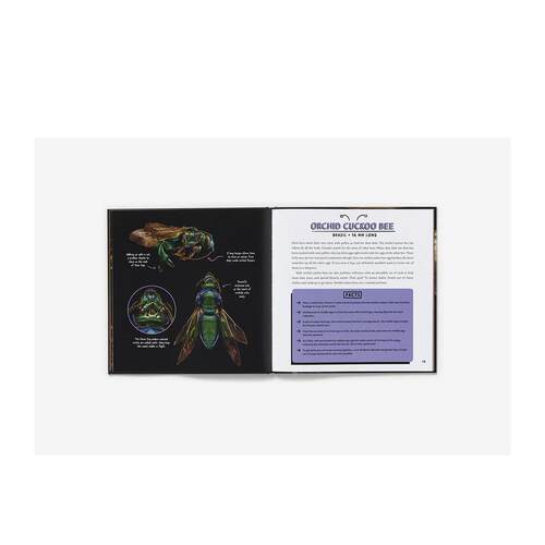 【现货】奇异的自然:Levon Biss的昆虫摄影 Strange Nature: The Insect Portraits of Levon Biss 原版英文青少年读物 进口图书 - 图3