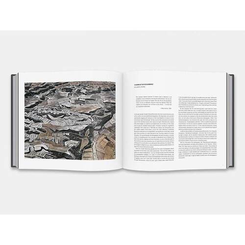 【预售】*【T&H限量版】爱德华·伯汀斯基:基本要素 Edward Burtynsky: Essential Elements (Deluxe Ed.) 原版英文摄影作品集图书 - 图2