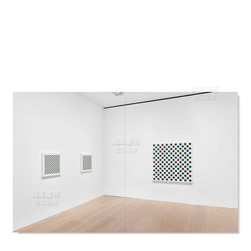 【现货】布里奇特·莱利：往日至今 Bridget Riley: Past into Present  英文原版进口图书 - 图2