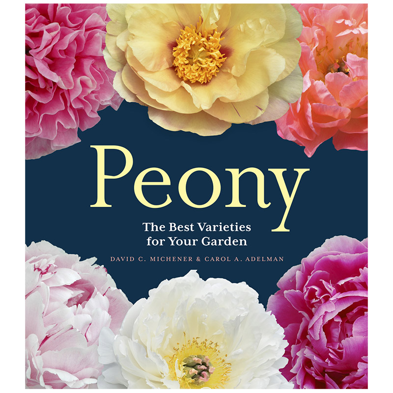 Peony花 新人首单立减十元 21年9月 淘宝海外