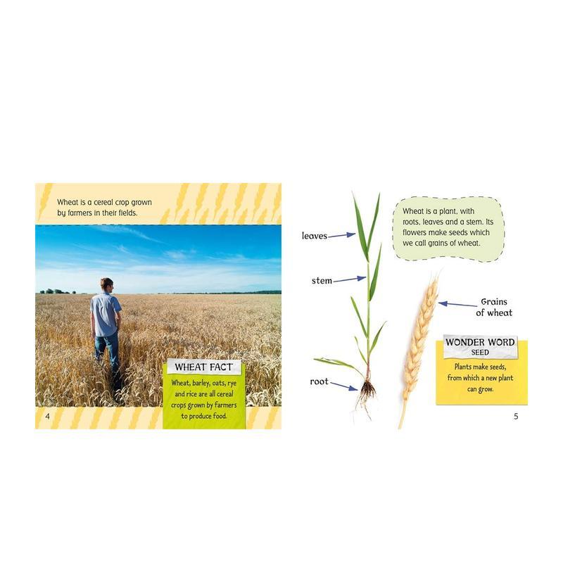 【现货】WHERE FOOD COMES FROM: SEEDS TO BREAD，食物从何而来:种子到面包图书书籍 - 图1