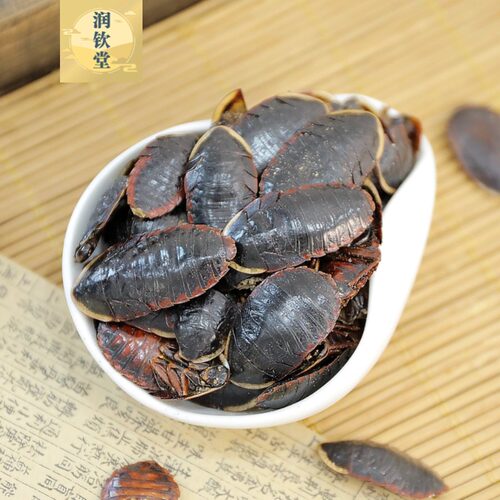 金边土鳖虫中药材金边土元500g克精选双边土鳖虫地乌龟土别虫土必 - 图0