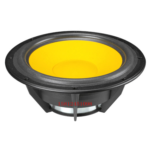 全新惠威 D10G 中低音扬声器/钕铁硼10寸喇叭/只/外径298毫米 - 图2