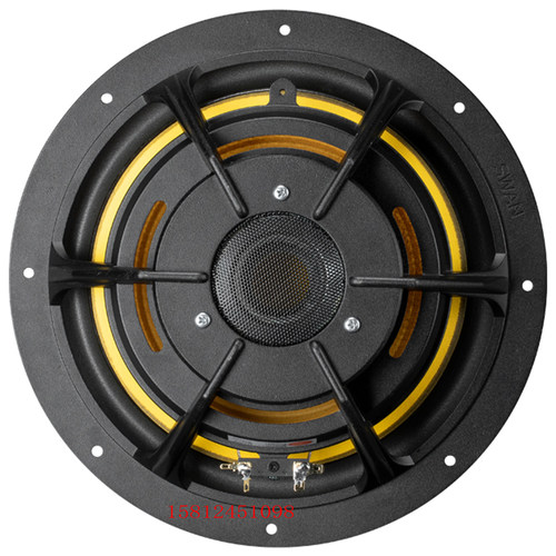 全新惠威 D10G 中低音扬声器/钕铁硼10寸喇叭/只/外径298毫米 - 图1
