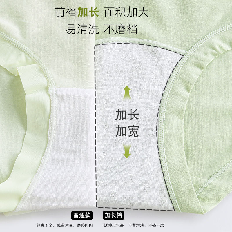 内裤女士纯棉7a级抗菌100%全棉裆2025新款中高腰女式大码三角短裤 - 图0