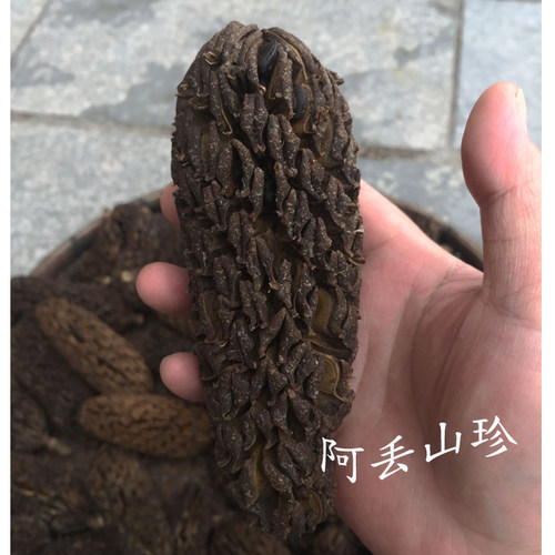 广西金秀大瑶山传统滋补品其他农家土特产厚朴果干货食材一斤包邮 - 图0