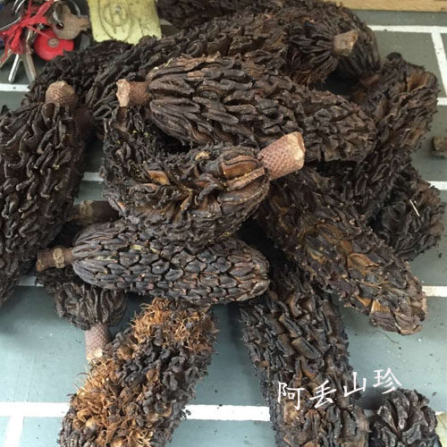 广西金秀大瑶山传统滋补品其他农家土特产厚朴果干货食材一斤包邮 - 图2
