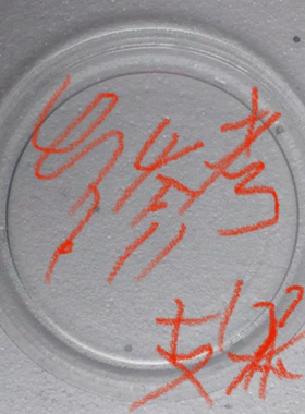LG原装正品 LG微波炉玻璃盘 LG玻璃转盘托盘配件平底 直径24.5cm