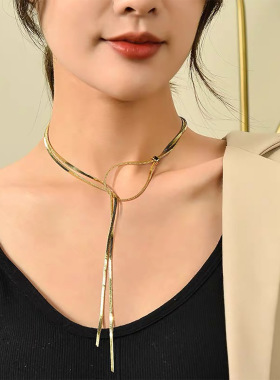 轻奢百搭超长蛇骨链可抽拉钛钢项链女小众轻奢设计感毛衣链潮