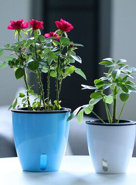 懒人自吸水恐龙蛋塑料花盆
