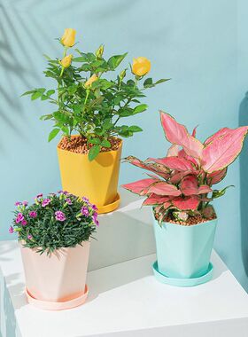 阳台家用塑料花盆桌面北欧风简约