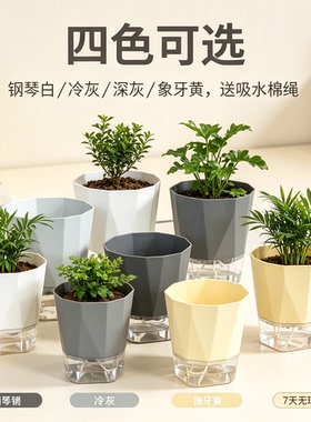 26.5cm水培花盆吊兰绿萝文竹水仙