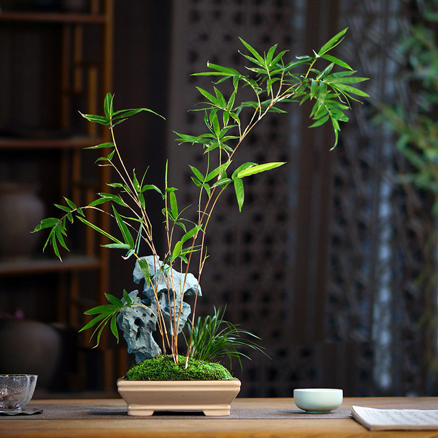 Mulan Ink Painting Stone Red Bamboo Bonscenery in Taihu Lake in the South of the Yangtze River