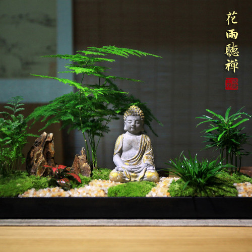 花雨听禅中式枯山水盆景组合盆栽文竹苔藓微景观菖蒲微型禅意茶室 - 图0