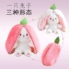 Strawberry transformed into rabbit doll doll