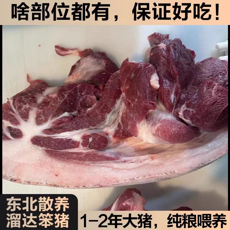 高程湖山林跑山猪猪肉 - 图0