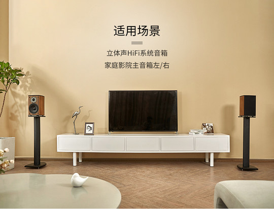 Jamo Regallautsprecher aus Holz, Stereo, HiFi