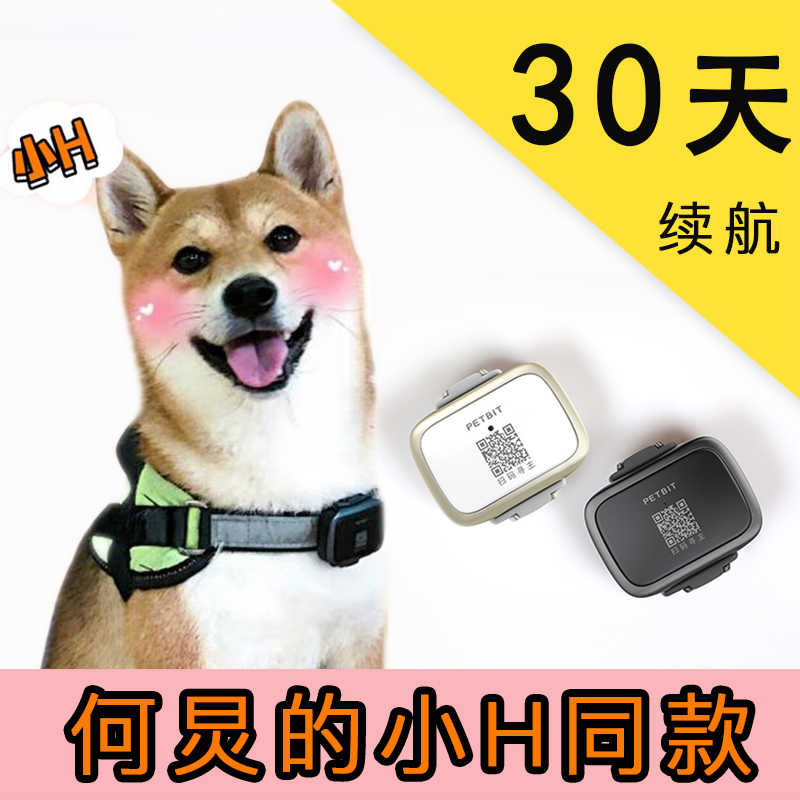 Gps狗项圈 新人首单立减十元 21年7月 淘宝海外