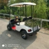 Xe điện mới tham quan chở hàng hộp xe golf cảnh quan du lịch xe buýt an ninh tuần tra tài sản 2 4 - Xe đạp điện