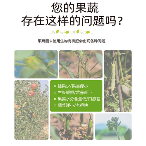 芝麻礼肥生物菌肥腐熟枯花卉植物盆栽通用花肥料发酵有机种菜饼肥 - 图1