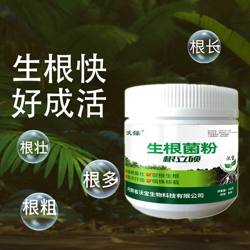 生根粉壮苗营养调节剂植物快速生根扦插专用移栽壮苗多肉营养液,淘宝优惠券,粉丝福利购,淘宝优惠卷