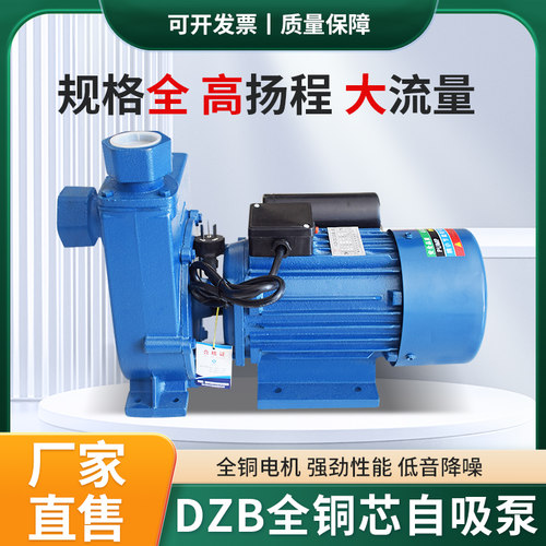 工业三相WZB大功率自吸泵单相DZB供水增压泵高扬程大流量循环泵 - 图2