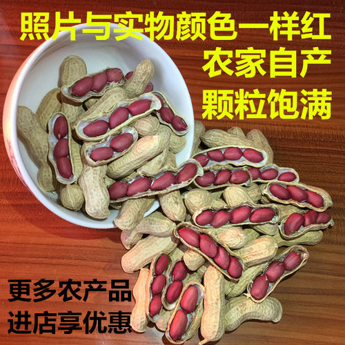 2025年生红皮花生带壳晒干原味高产种子籽农家铁锅炒熟红衣花生米 - 图0