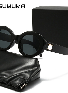 保罗雷朋官网2025新款复古黑框椭圆形墨镜女圆脸大框显瘦网红高级