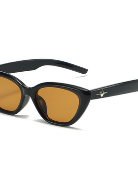 保罗雷朋官网复古三角猫眼小脸墨镜女ins黑色小框太阳眼镜造型拍