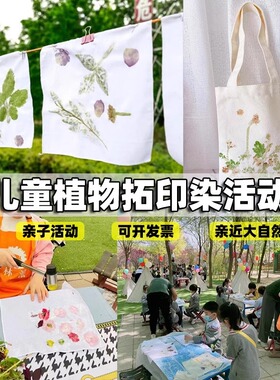国庆节植物敲拓染团扇手工diy