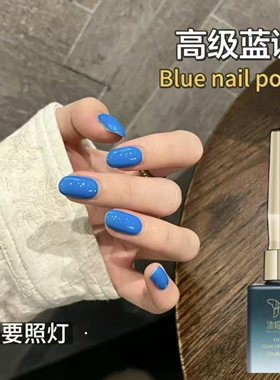 沐瑶小姐美式蓝色指甲油胶网红气质流行百搭显白美甲店专用光疗胶