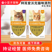 Bayer Love Walker Kitty Sea Lemmites inside and outside Insect repellent Pet Young Cat Flea Ear Mite Parasite