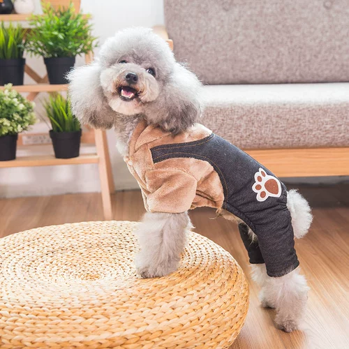 Собачья одежда утолщенная и теплая в зимнем Новом году Интернет-знаменитость Тедди четвероногий Bichon Bear Bear Pomeranian маленький собачий домашнее животное осень и зимняя одежда